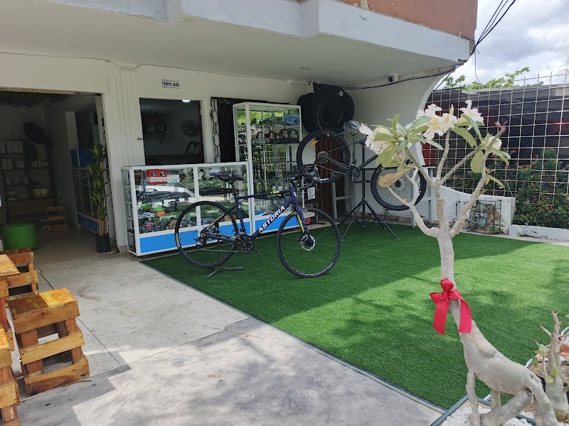 Taller de Bicicletas Full Bike