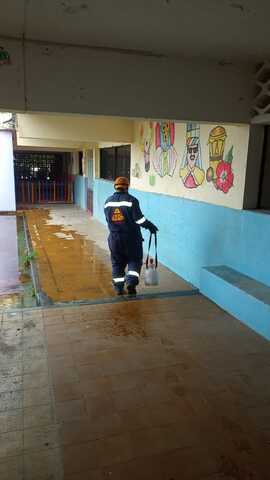 Control de plagas y mantenimiento de extintores