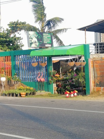 Vivero Los Flamingos
