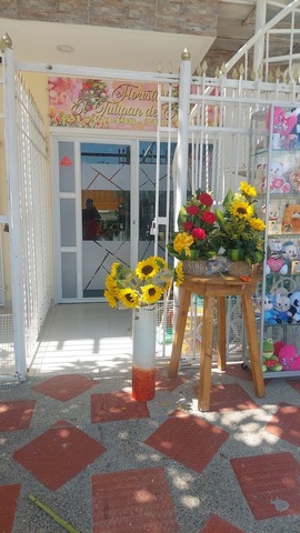 Floristería El Tulipán De Cristal