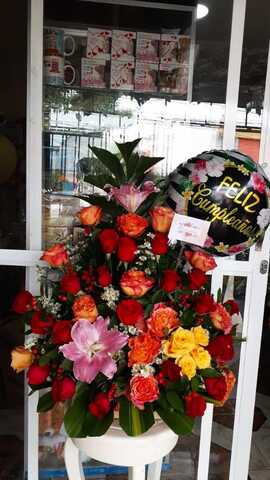 FLORISTERIA BELLAS ROSAS