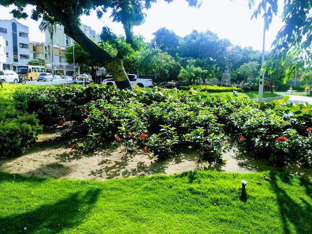 Romelio Martínez Park