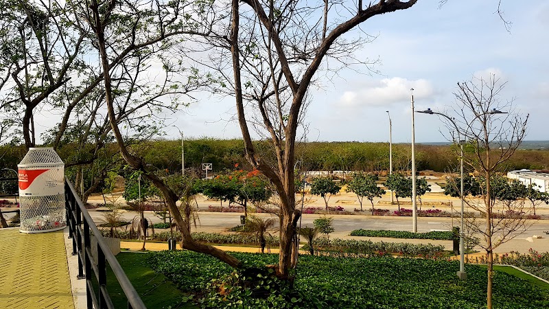 Realismo Mágico Park