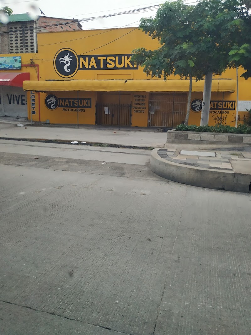 Natsuki Motors SAS