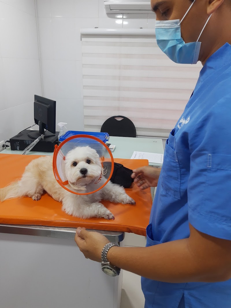 Sharpey Vets