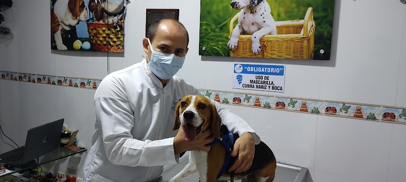 Clínica Veterinaria Don Perro