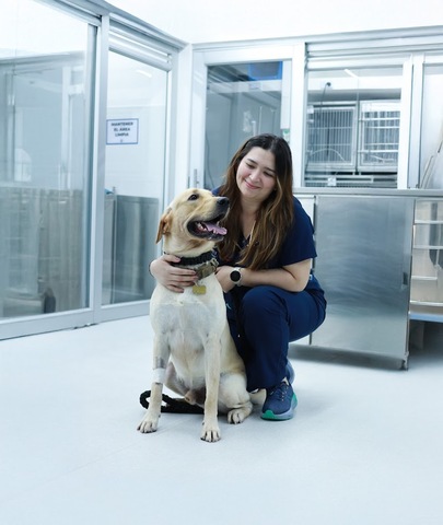 The Veterinary Clinic 38