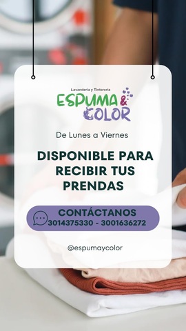 Lavanderia y Tintorería Espuma y Color