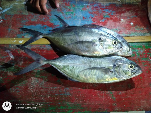 PESCADERIA HERMANOS GUERRA