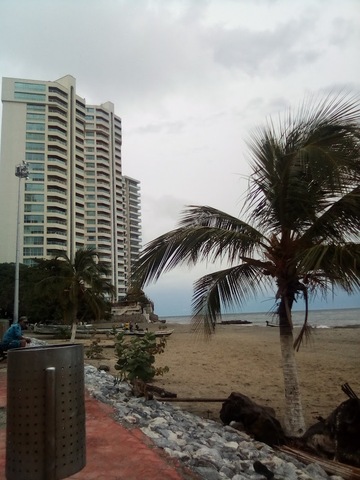 Tienda Concepción 2