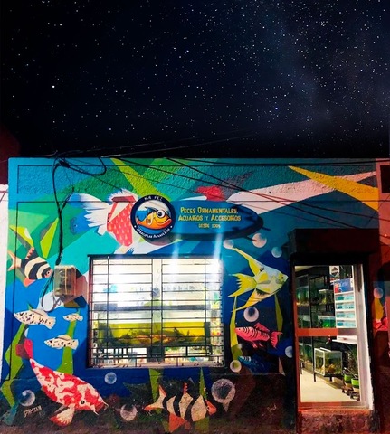 MR. PEZ Mascotas Acuáticas