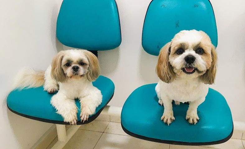 Droguería y Veterinaria Todo Mascotas