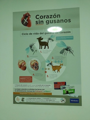 Agroveterinaria Maceo