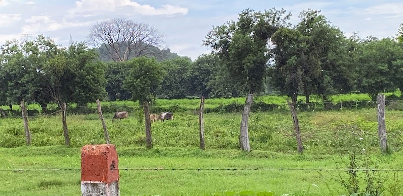 Sena Acuicola y Agoindustrial de Gaira.