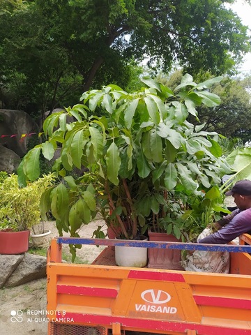 CENTRO DE ATENCIÓN Y VALORACIÓN DE FAUNA Y VIVERO DE CORPAMAG