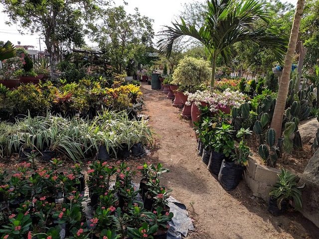 Vivero Bellas Flores