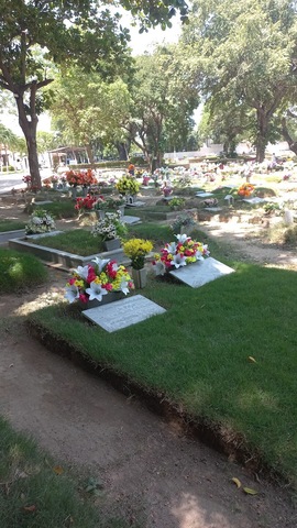 Peace Gardens Santa Marta