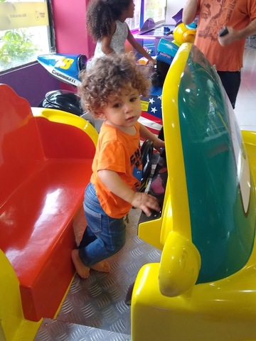 Lechoneria Tolimense La Original