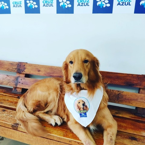 Cruz Azul clínica veterinaria Turbaco