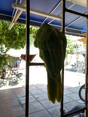 Almacen y Taller Ciclo Robert