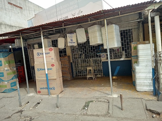 Desechables Olga lucía