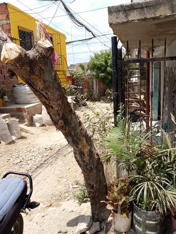 Ferretería Jesús Daniel