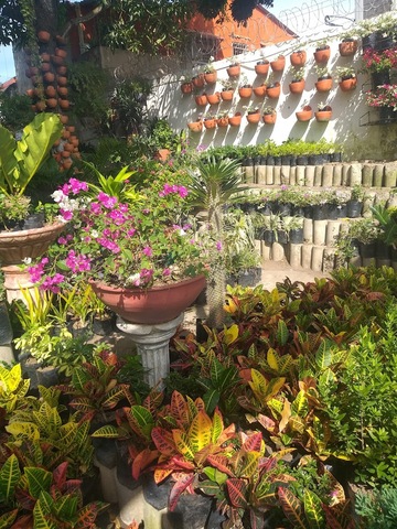 Vivero Rincon Del Mar