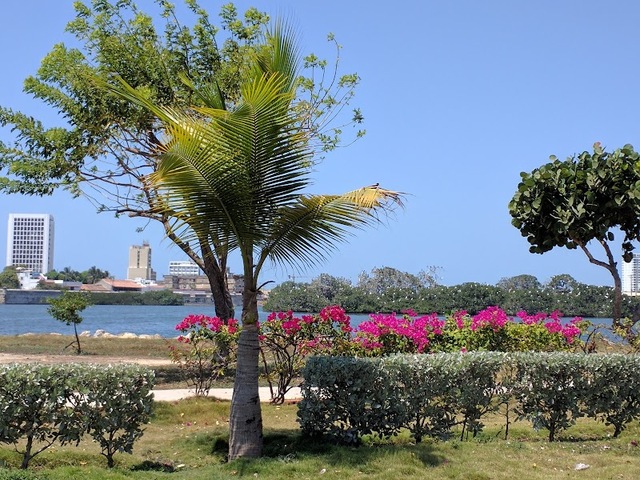 triangular de Manga Park