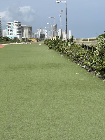 Lineal de Crespo Park