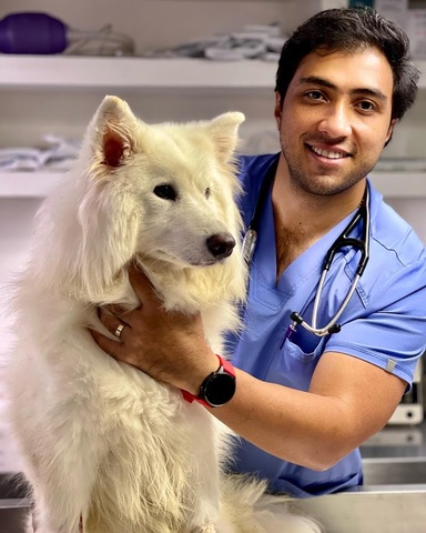 LAKma Clínica Veterinaria 24 Horas