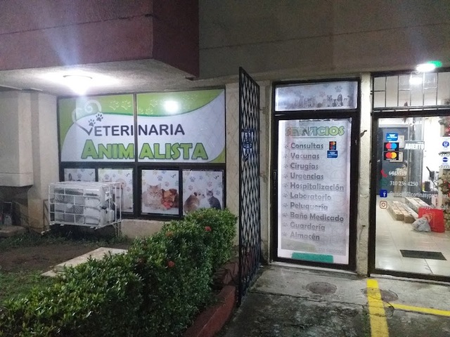 Veterinaria Animalista
