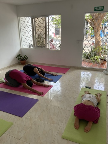 Longeva: Medicina alternativa y tienda naturista