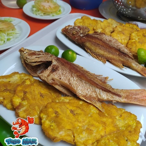 Pescadería y Restaurante Todo Mar