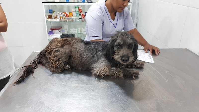 Pulgas Veterinary Clinic