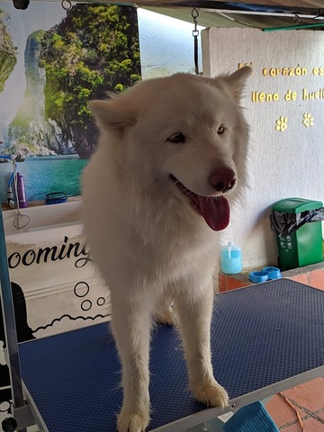 Clínica Veterinaria Mr Vet