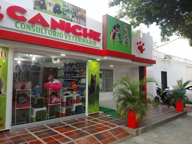 Centro Veterinario Caniche