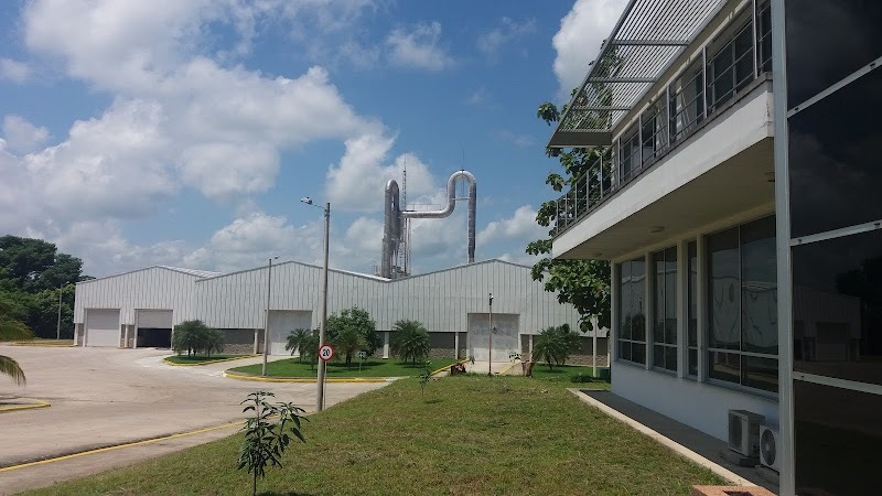 Almidones de Sucre S. A. S.