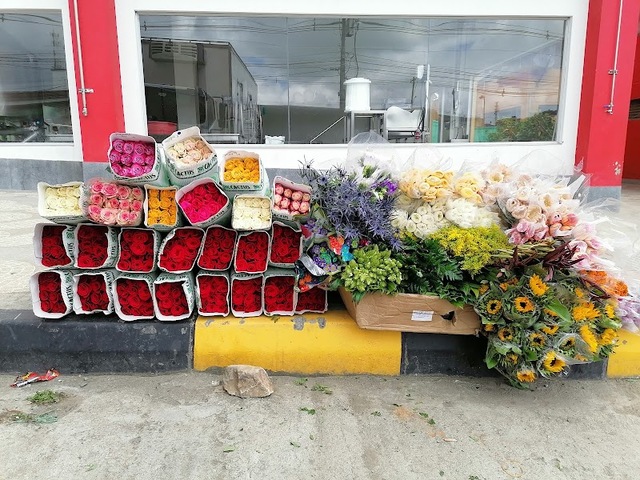 Floristería capull-os