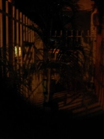 EFECTY SINCELEJO PIONEROS.