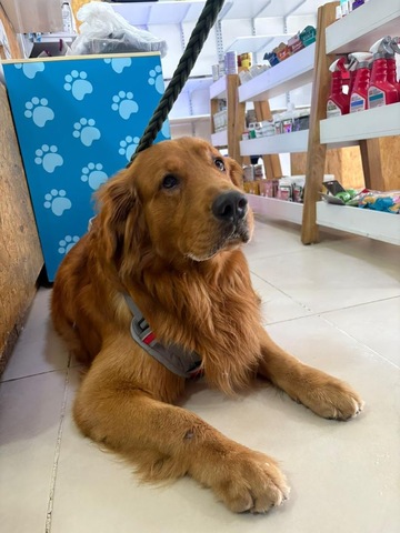 CENTRO VETERINARIO MUNDO ANIMAL