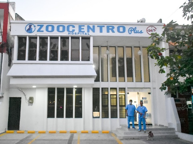 Hospital Veterinario Zoocentro Plus