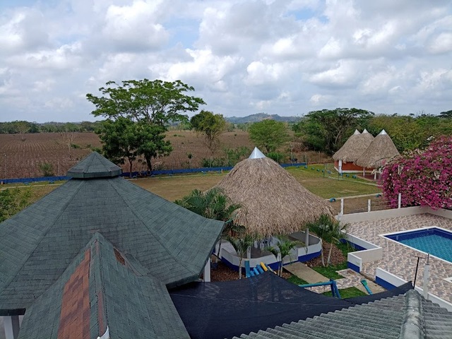 Los Gansos de Borja Montería Córdoba