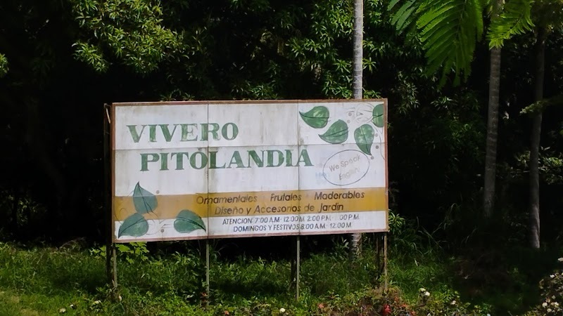 Urban Oasis, una marca de Vivero Pitolandia