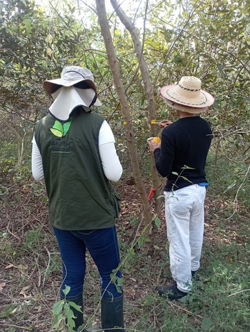 Anartia Natural S.A.S