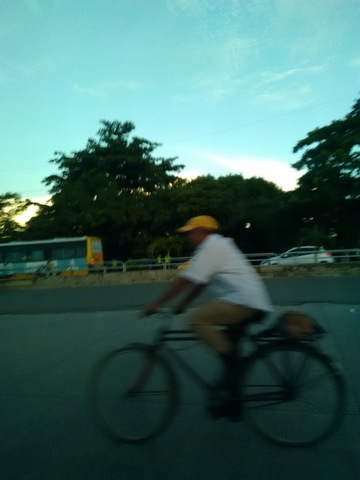 Gazel Virgen Del Carmen