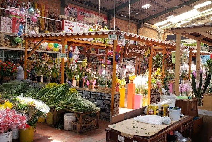 Isabella distribuidora y floristeria