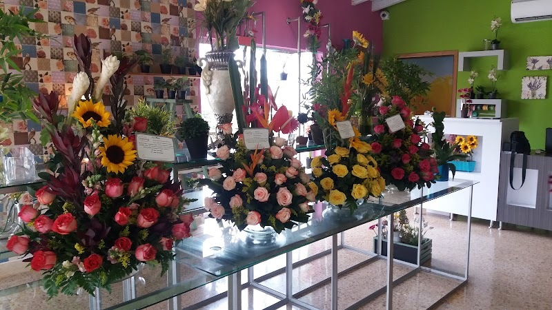 Floreria Santa Maria