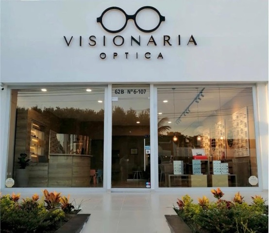 Visionaria