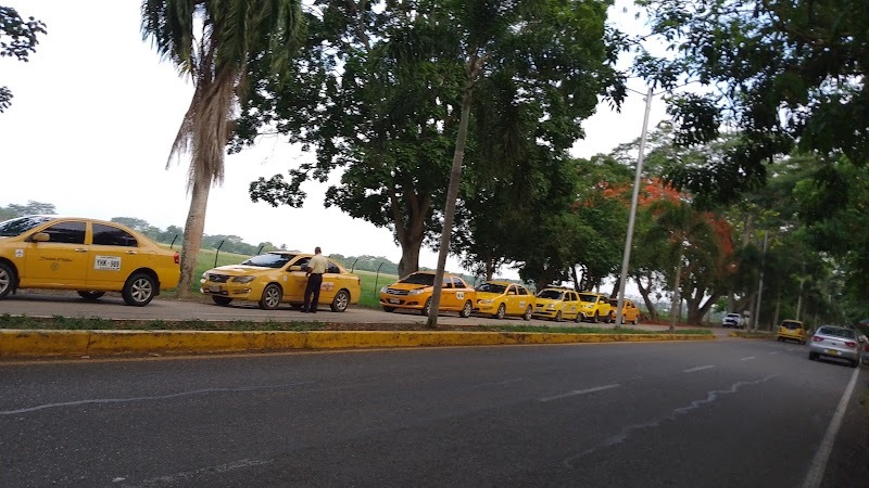 Asociación de Taxis al Servicio del Aeropuerto Los Garzones