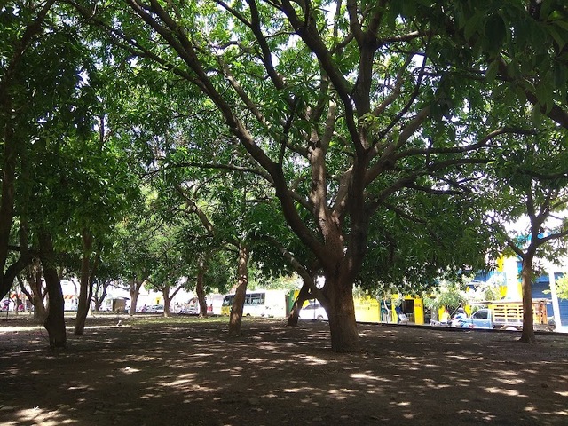 Monteria Moderna Park